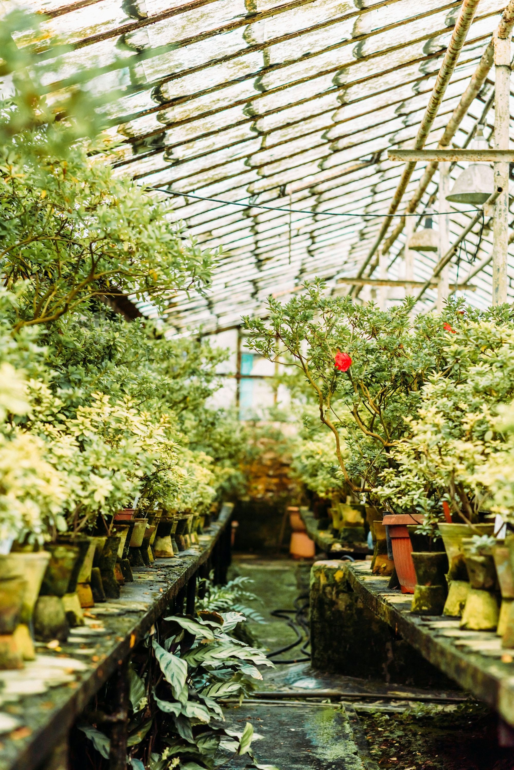 SOIL: TJ Pod Practice Spaces